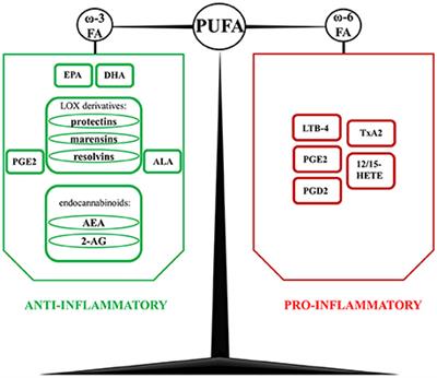 Polyunsaturated Fatty Acids and Their Derivatives: Therapeutic Value for Inflammatory, Functional Gastrointestinal Disorders, and Colorectal Cancer